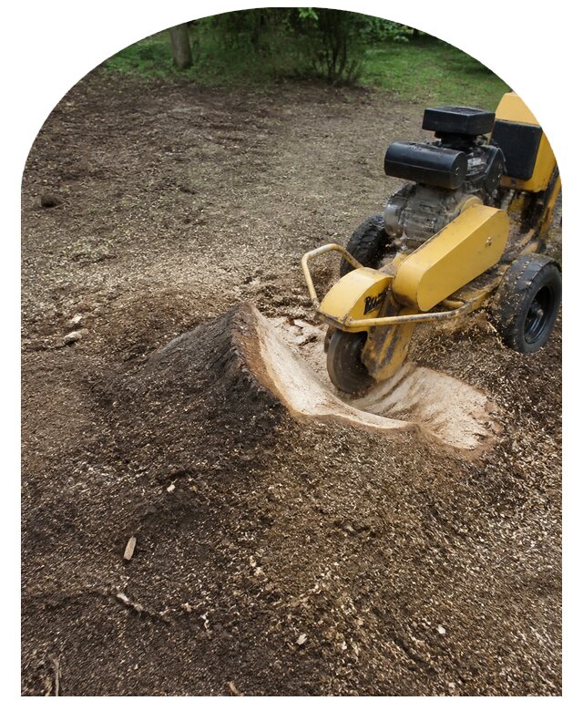 Удаление пней в Слободской по цене от 4637 р. Заказать Метпроект-Слб