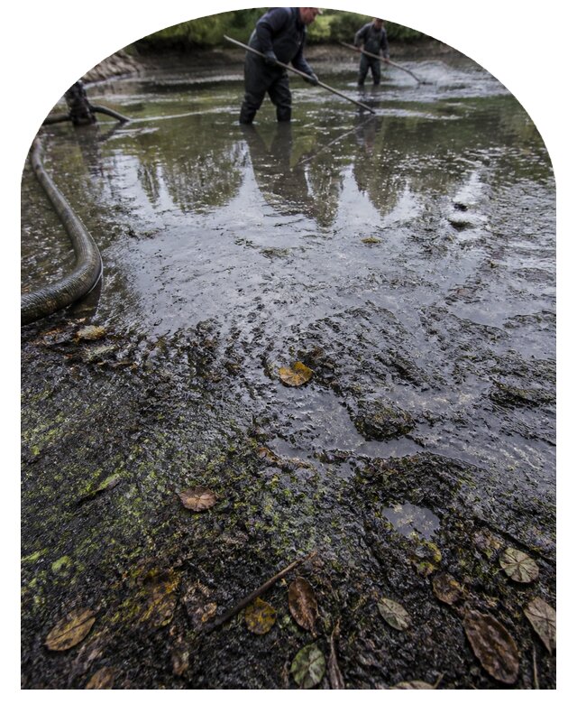 Очистка пруда в Слободской от ила мусора и водорослей с вывозом